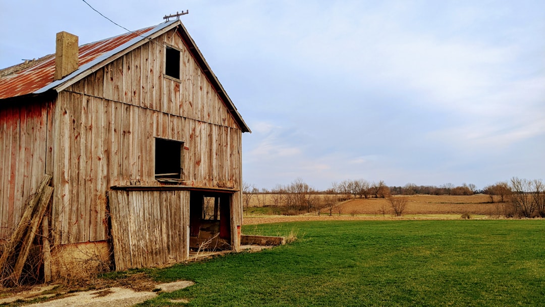 home energy usage insights chart Illinois