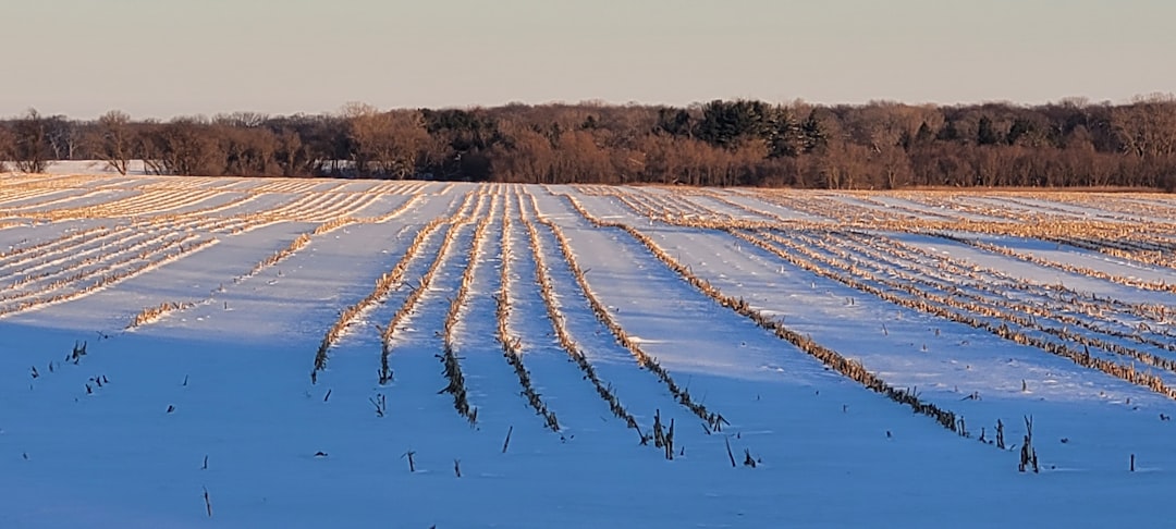  Illinois winter ice storm power lines